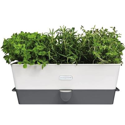 Cole & Mason Self-Watering Herb Keeper Triple Potted