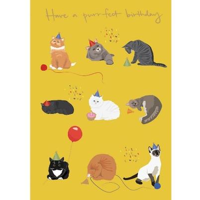 Birthday Card - Have A Purrfect Birthday