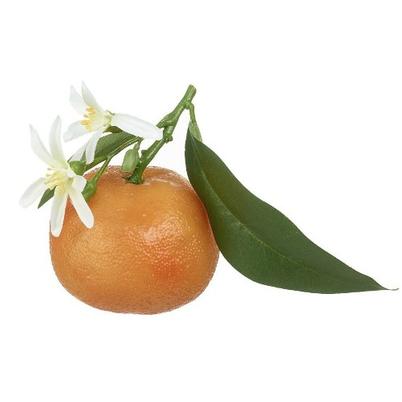 Decorative Orange with White Blossom