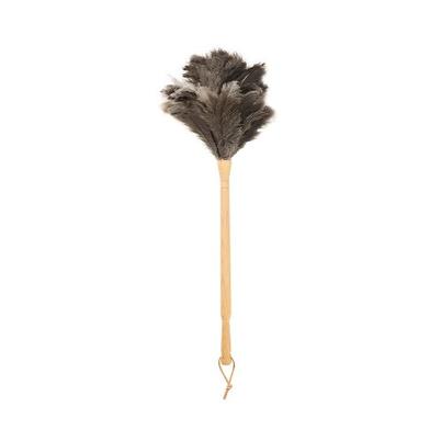 Ostrich Feather Duster Beech Handle 50cm