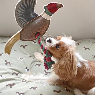 Sophie Allport Pheasant Rope Dog Toy