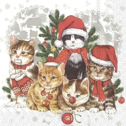 IHR Christmas Lunch Napkins Cat-Mas