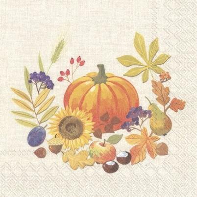 IHR Lunch Napkins Little Pumpkin Linen