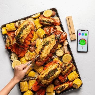 Meater Plus Meat Thermometer Wireless
