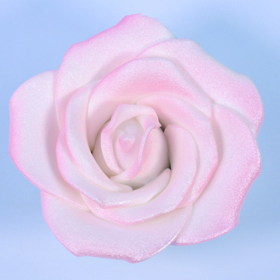 PME White Sugar Rose 