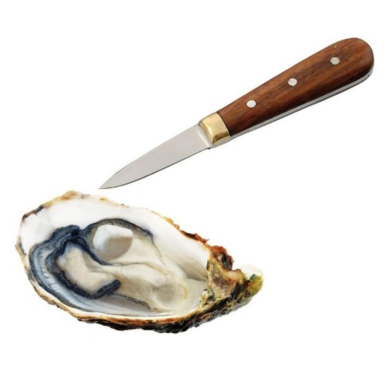 Oyster Knife Wooden Handle Oyster Knife Stainless Steel - Temu