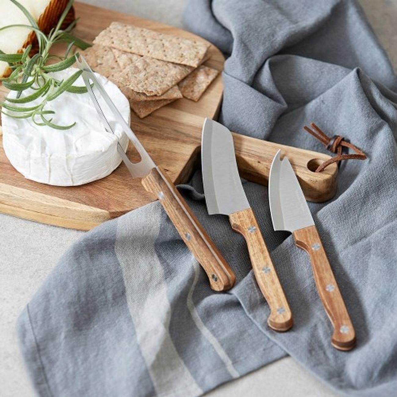nicolas-vahe-cheese-knives-set - Nicolas Vahe Cheese Knives Set