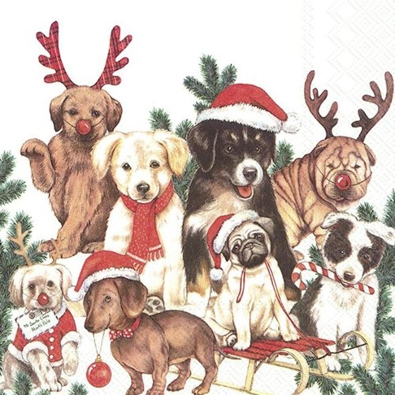 ihr-christmas-lunch-napkins-dog-mas - IHR Christmas Lunch Napkins Dog-mas