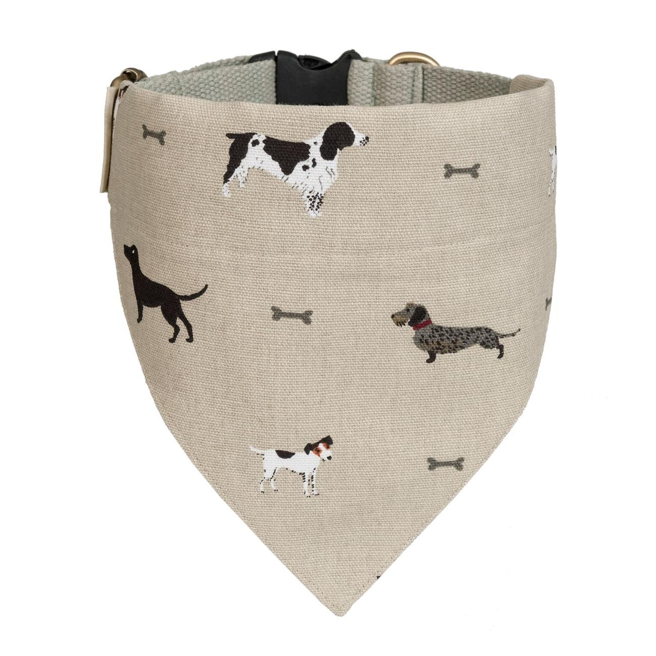 Sophie allport best sale dog collar