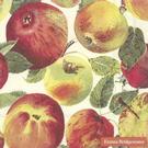 IHR-Emma-Bridgewater-lunch-napkins-apples-cream - IHR Lunch Napkins Emma Bridgewater Apples Cream