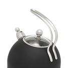 bredemeijer-tea-kettle-2.5l-matte-black - Bredemeijer Tea Kettle 2.5L Matte Black