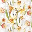 ihr-daffodil-joy-lunch-napkins - IHR Lunch Napkins Daffodil Joy 