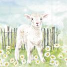 ihr-lamb-in-the-meadow-lunch-napkins - IHR Lunch Napkins Lamb In The Meadow