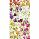ihr-tulipfield-guest-towel - IHR Guest Towels Tulip Field